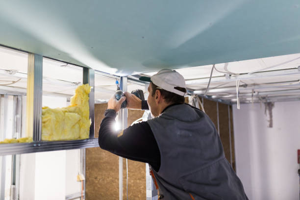 Best Blown-in Insulation in Havre De Grace, MD