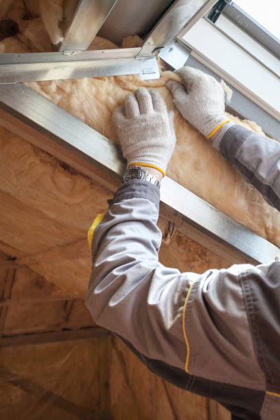 Best Insulation Maintenance and Repair in Havre De Grace, MD