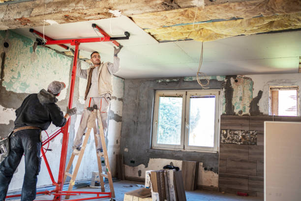 Types of Insulation We Offer in Havre De Grace, MD