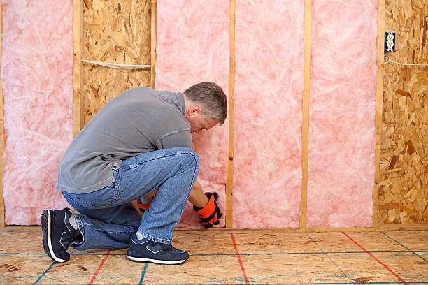 Best Geographic-Specific Insulation Services in Havre De Grace, MD