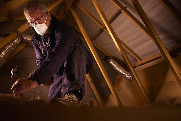 Best DIY Insulation Kits and Guidance in Havre De Grace, MD
